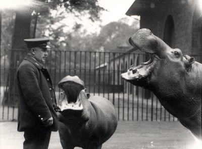 Bobbie et Joan, 1923 - Frederick William Bond